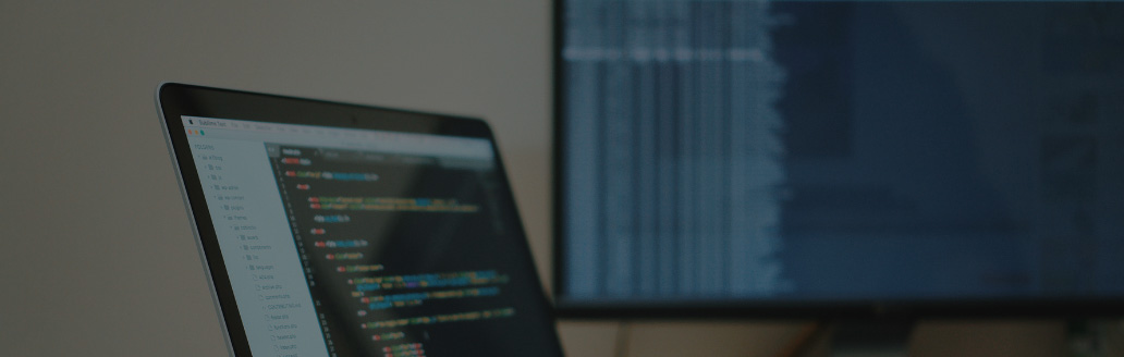 An Auditor’s Responsibility for Cybersecurity Risks
