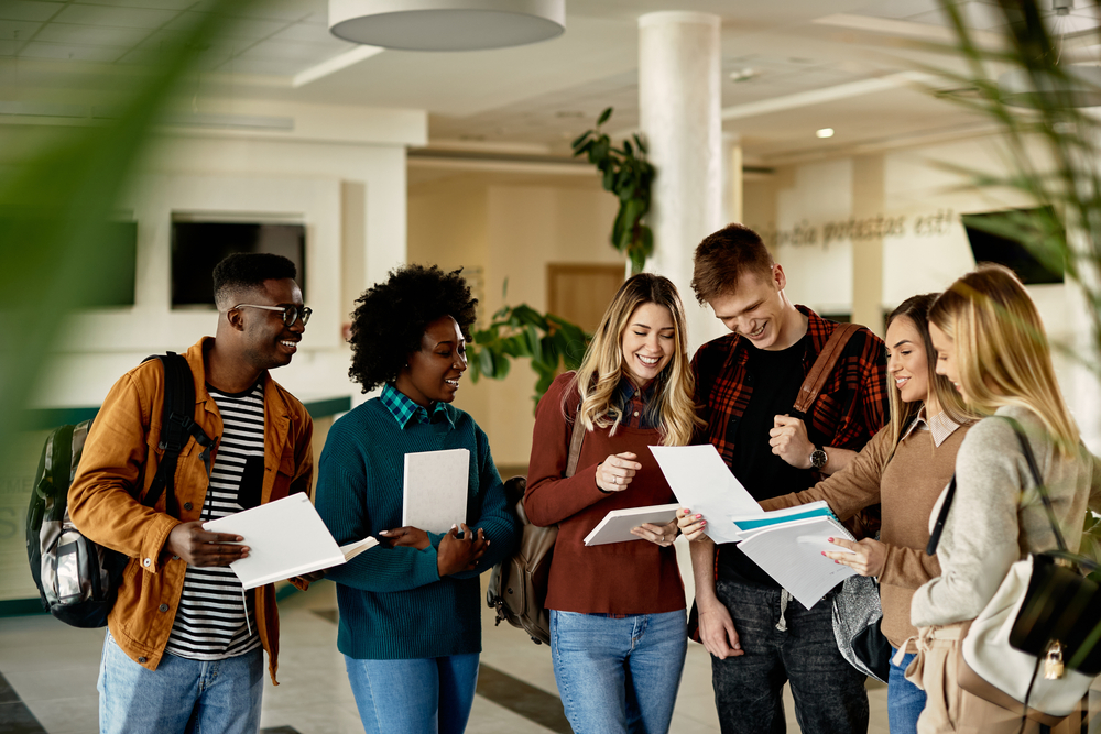Finance vs. accounting degree: Which major should I choose?