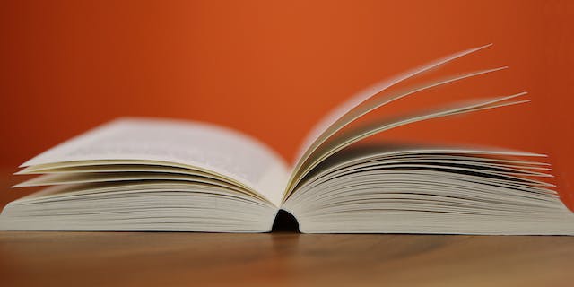 The GAO Green Book: Understanding Government Internal Control Standards