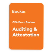 auditing and attestation review