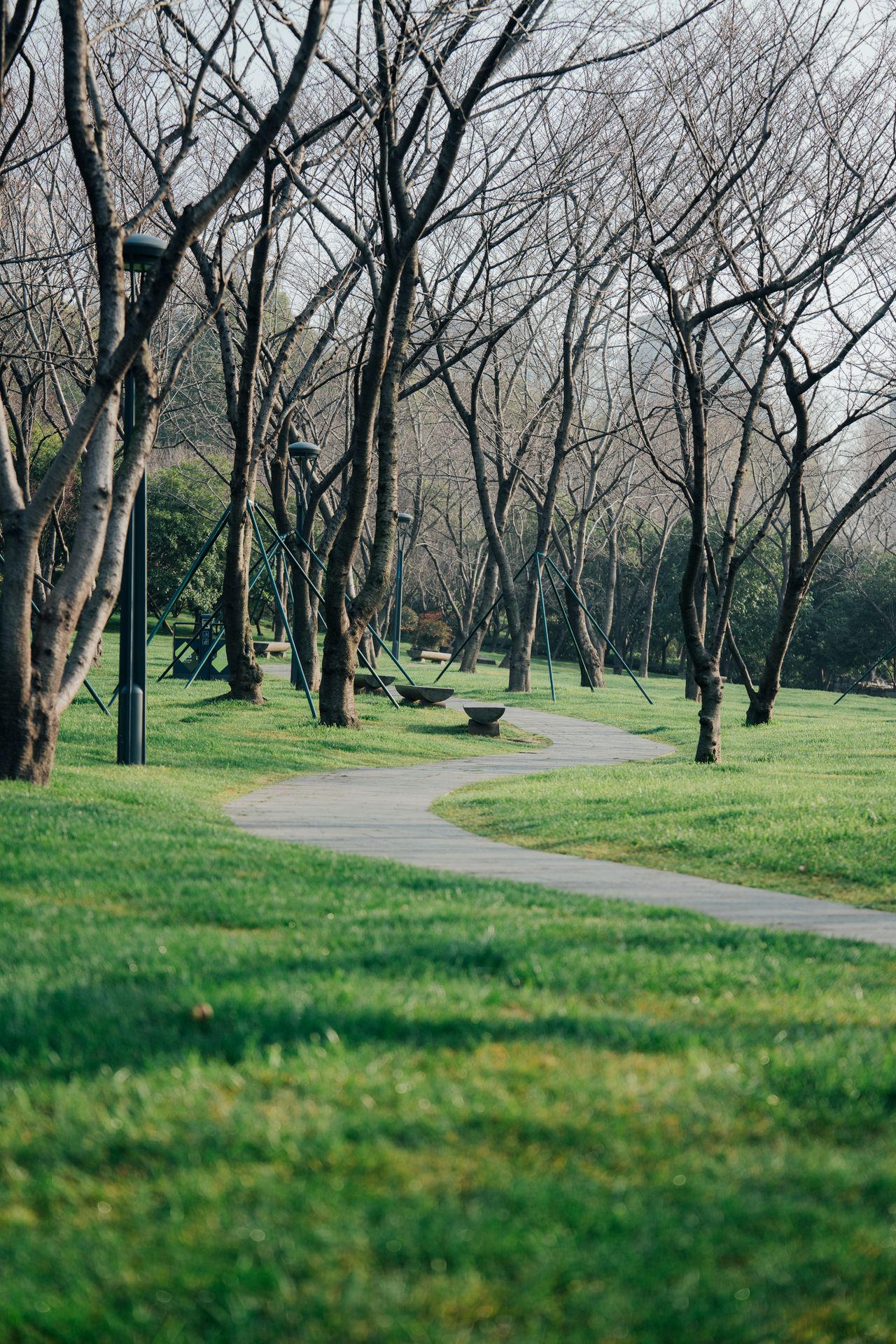 10-Year Experience Pathway for CIA Challenge Exam Eligibility