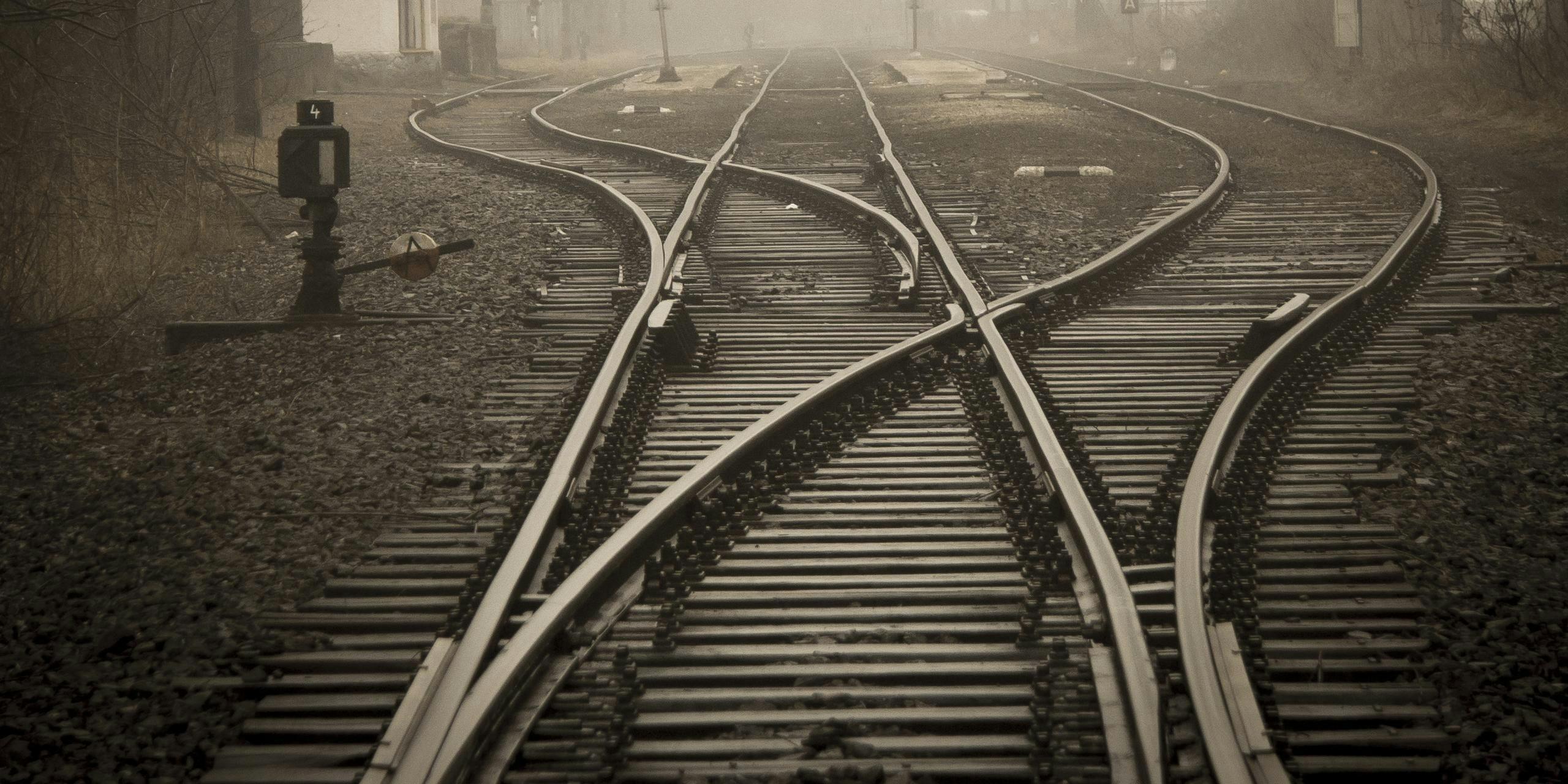 EA career paths