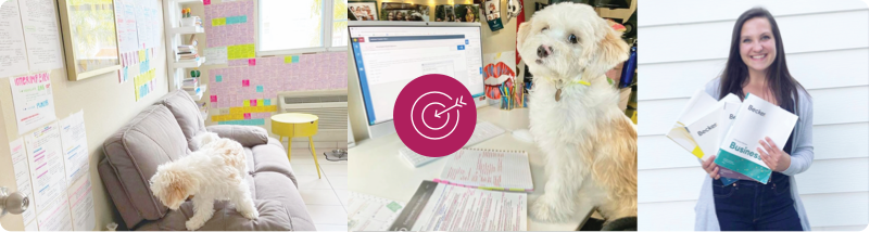Dog at computer with dart board icon overlay