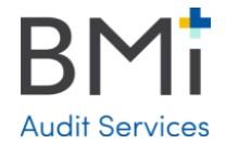 BMI Audit Services, LLC_logo