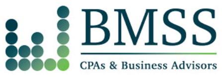BMSS, LLC_logo