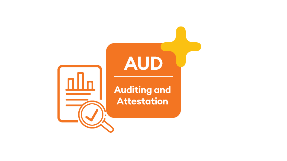 auditing and attestation