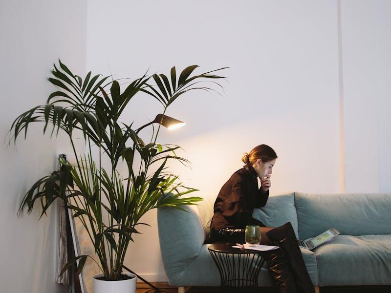 Woman sitting on the couch, studying on her laptop and practicing CMA essay questions