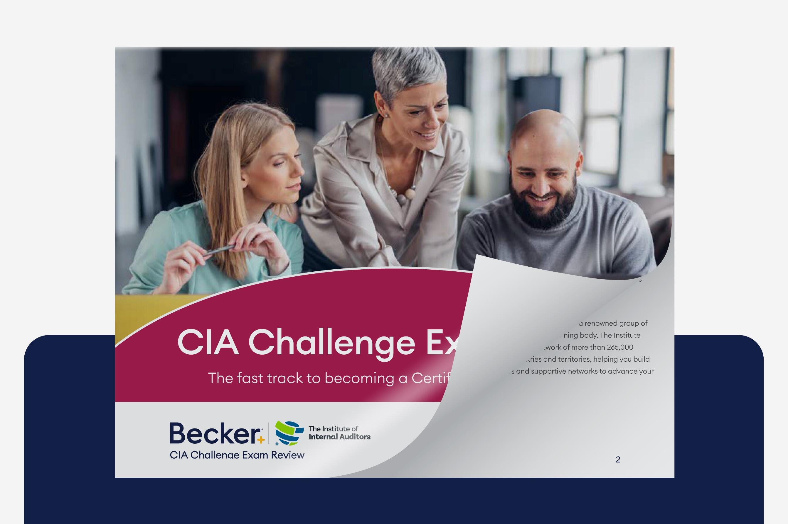 CIA Challenge Exam Guide eBook