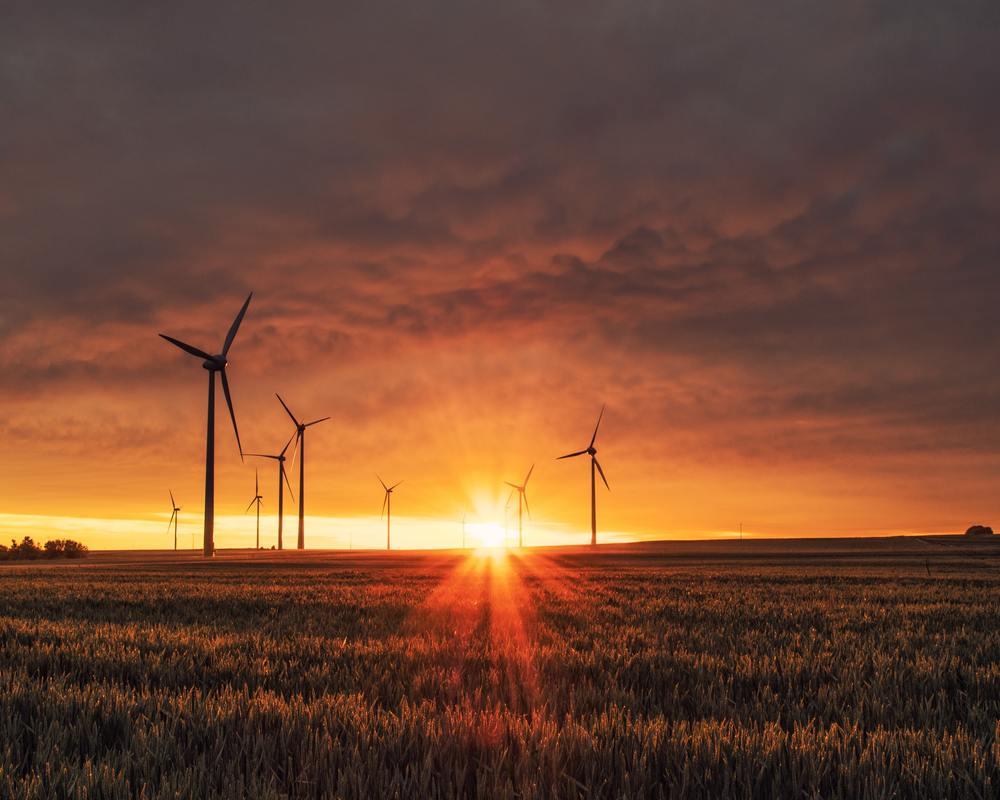 Windmills in the environment